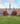 Harvard University помощь в поступлении в США